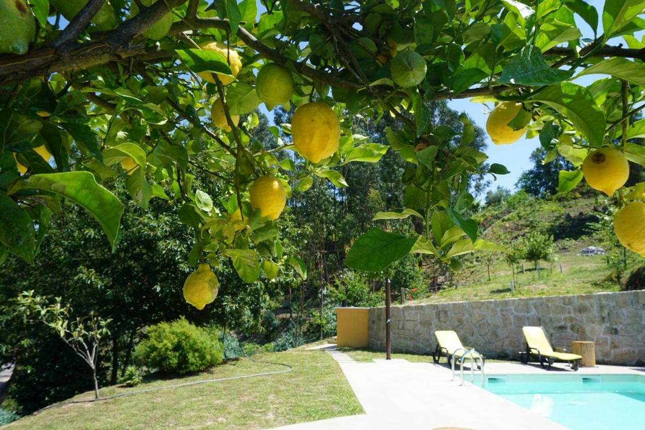 Casa Das Lousas, Ponte De Lima Vila Facha Exterior foto